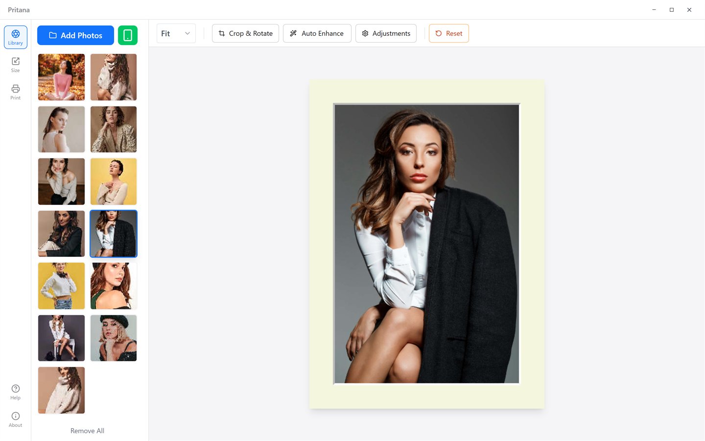 Pritana main window: Library panel, toolbar and the frame/mat preview canvas