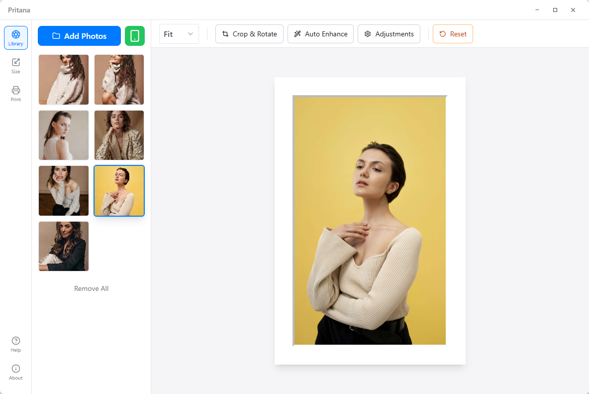 Pritana Main Window - Professional Photo Printing Interface